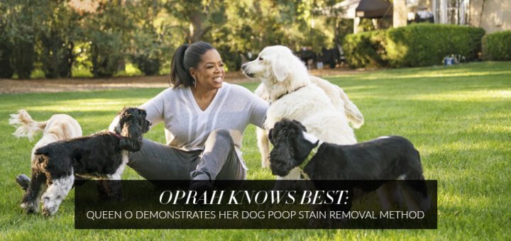 Oprah_cleans_dog_poop